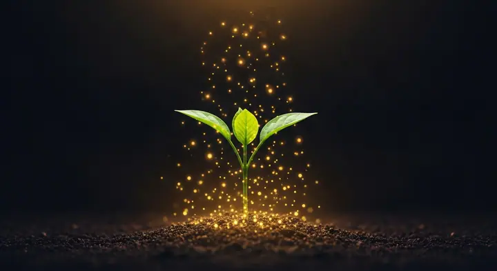 After Ramadan: How to Maintain Your Spiritual Habits