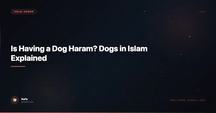 Is Having a Dog Haram? Dogs in Islam Explained